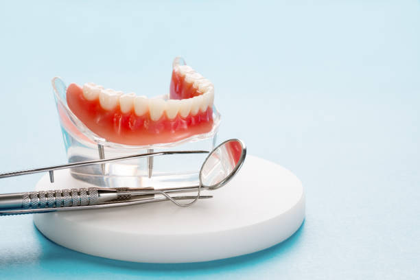 Trusted Hyde Park, PA Holistic Dental Care Services Experts